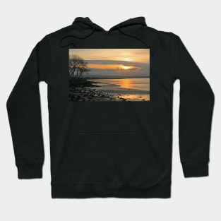 Ferry Road Sunset, January 2024 Hoodie